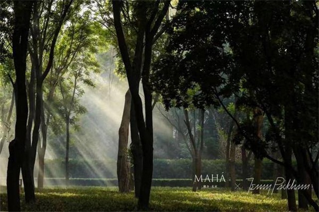 0582ecb0-8de0-4dbb-bd03-ff9e51492374