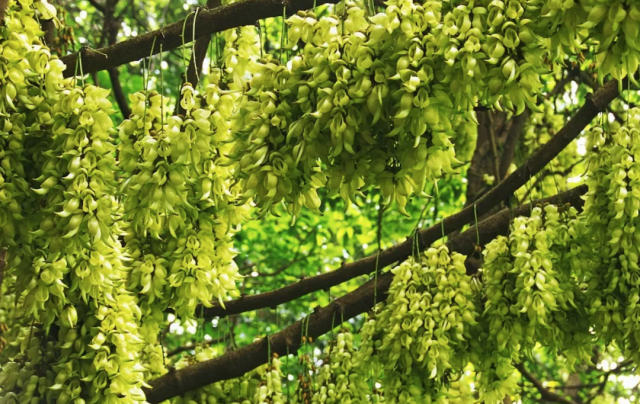 c1b53e61-70a1-4cb9-9089-2009d77eda93