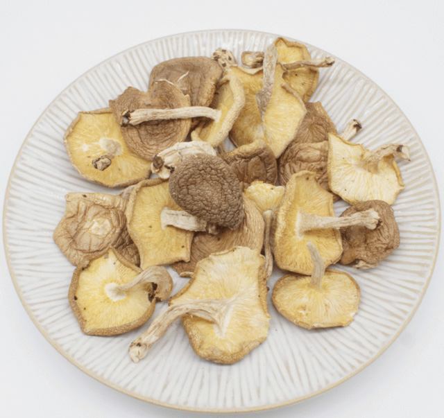 d9543534-ed61-468b-a3ff-6a73973e231f