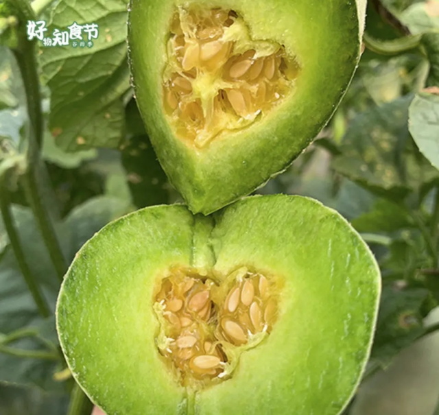 02b06831-7e12-4246-b773-a080dc650f2c