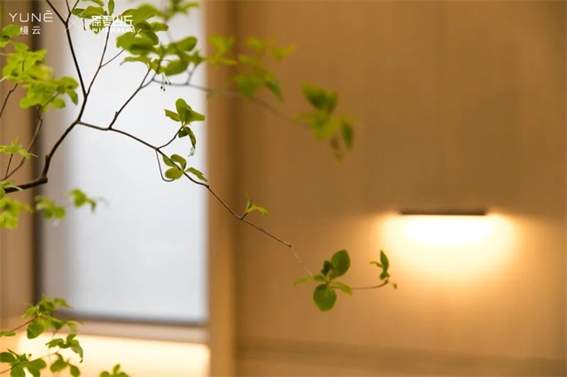 9e9d4a03-5083-415c-82ff-35a78fd23275