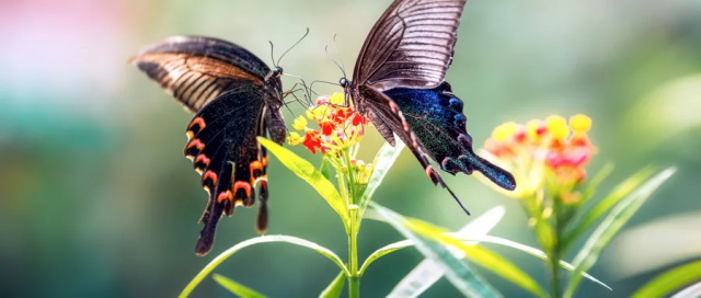 5678fe77-b084-47bc-9f13-59186019af30