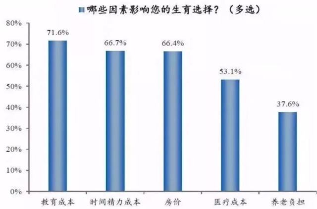 69d6cf39-7d99-4dc8-b6cf-65e88bf015e2