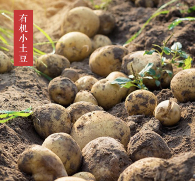 cb4c66b8-4b79-4276-920c-9181e58fc06c