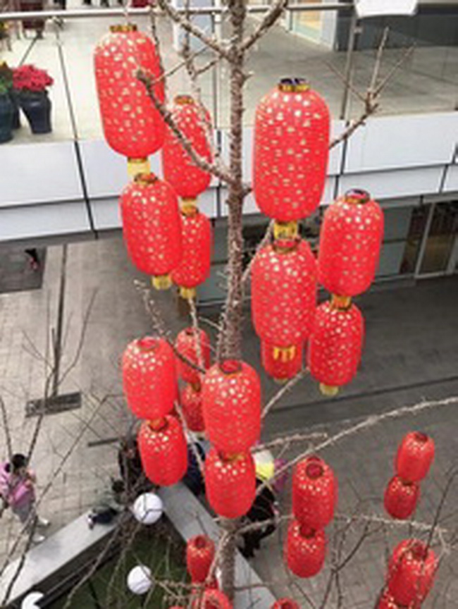 23a4359d-0f2e-4d06-9bd6-c8004577539b