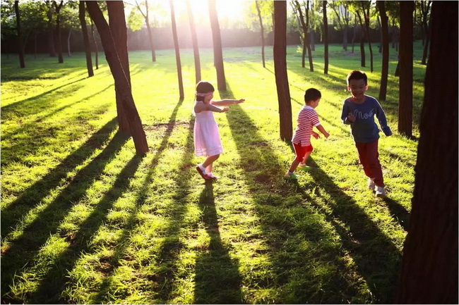 271735af-a40b-4955-864c-bc3b5cb7b50e