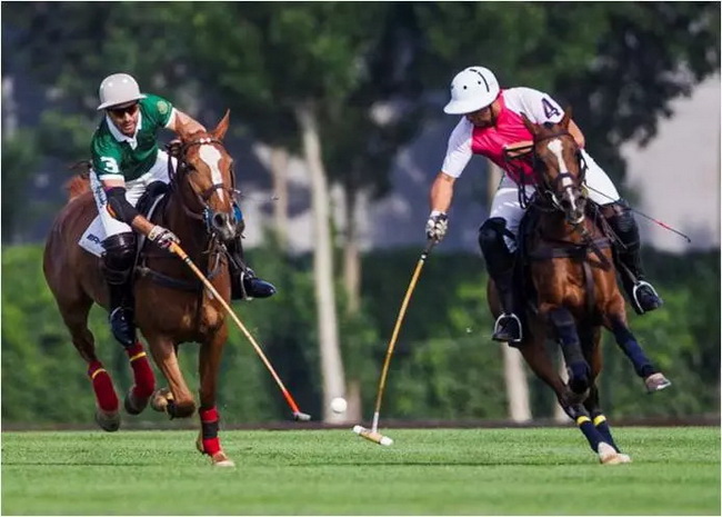 507367a8-001a-4cc2-ac49-faf0b3a602c9