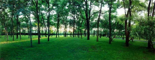 6370f40e-2706-46e7-9929-bc07d9463693