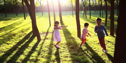 7d44e32d-14f6-413c-9254-293f44055ee7