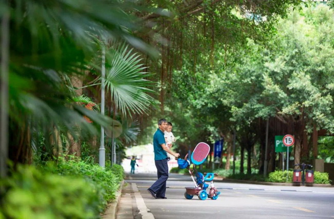 806142c4-9f3c-4a2b-8287-e61b8d8cf070