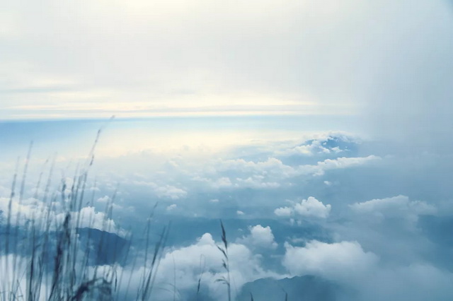 535d8239-d043-4cfb-80db-1f9d7085aba2