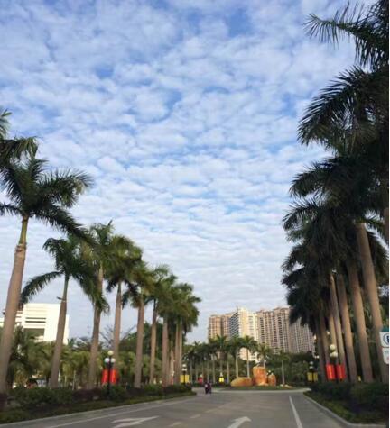 6be834bc-e334-4342-afb2-a523a4368d16