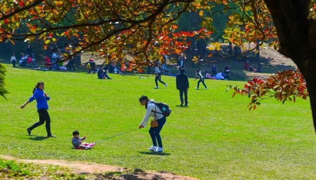 f037e5a8-7c0e-4b88-8e88-08b5351dab4a