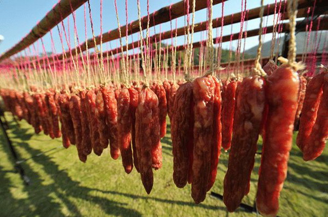 49f48f59-0757-4860-8c69-a94796568e0a