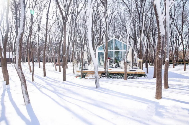 cfa2c30f-f17d-41ed-a681-fed88f68f84f