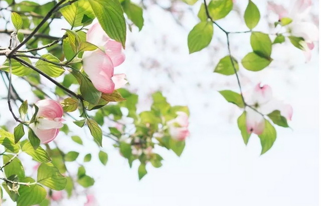 26e4dc0a-e1a5-4252-bc35-afc96ee785bd