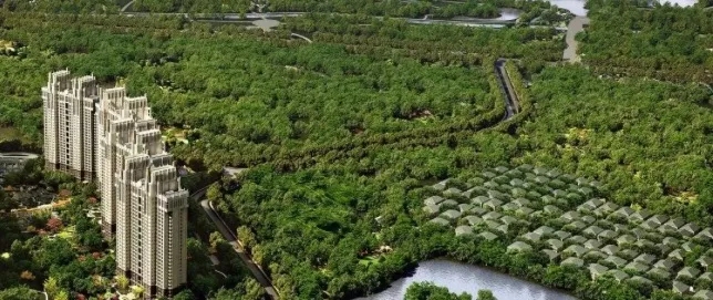 86d1e2dd-a0b0-46f4-8b1d-7ad52c755eb4