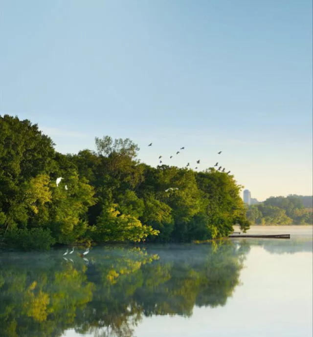 3290202e-1604-4a83-bef9-bcd794a5a3c9