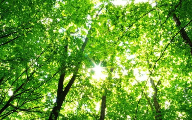 3ad88a27-87f6-47a8-9f06-a05d1c1c8b44