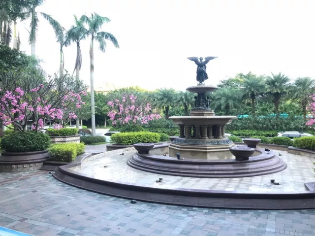 7a1bd8f6-9f19-4a2f-b46d-872a87c698dc