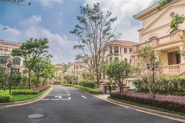 7ff35032-af91-4238-a242-fb85d77fa326