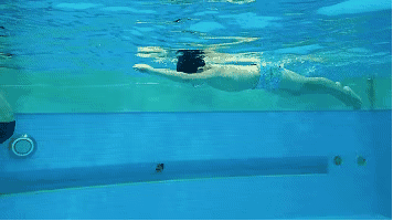 dee59d88-6a83-413a-bd85-61302610af86