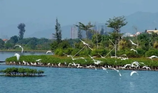 f52dc562-d86b-4117-bd13-fc2e23cac508