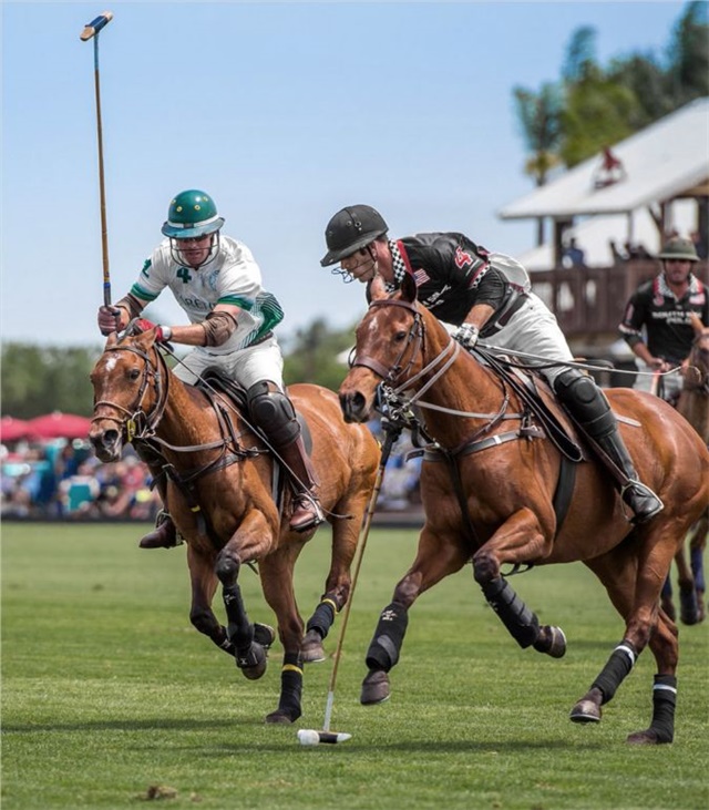 5213d622-a9c6-443d-a1cd-5889f9db3590