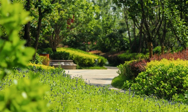 0c96ef3c-b9b2-478b-a752-37a6e972e415