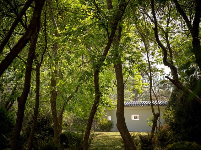 65d457e5-abad-4657-a463-67a06713d24d