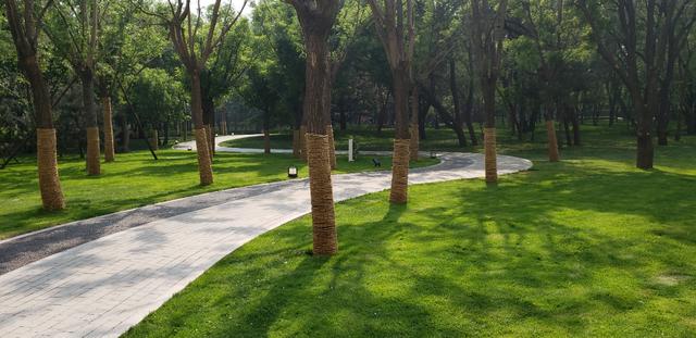 97767705-6f2f-444b-a61f-c4bdb8bda51e