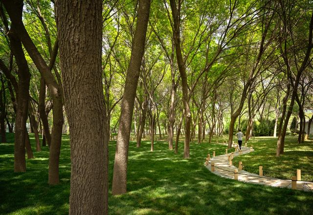 efc83545-2113-4c3d-b04d-19f2c01b1155