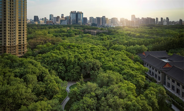 12e1f09c-d931-4191-822e-26e4fb2b1065