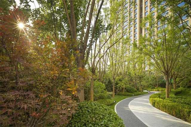 5e398575-a3a4-499b-8570-e30d56dca259