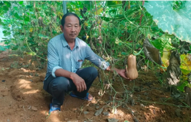 d940684d-00ae-4dc6-9705-a090c788eed9