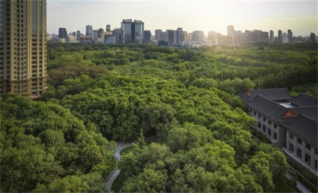 0fe1a111-33a9-4510-8d56-8d5a4ad0b2e8