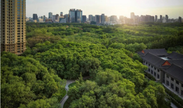 c0b4cc22-0012-40d7-909b-9f661a156b76