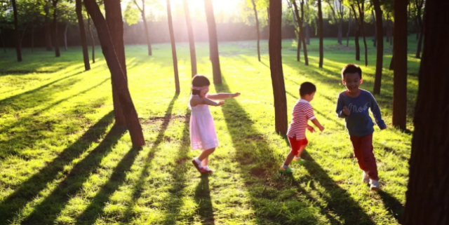 bd9d4e04-1be3-4e6c-b57f-27490d3b1806