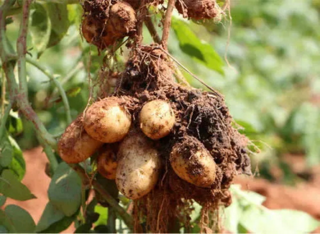 09fc4c8f-942b-4249-b996-941d3cb41879