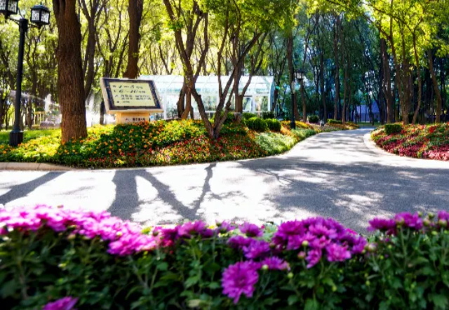 63c9b262-c3e8-47fb-8a05-87274760210a