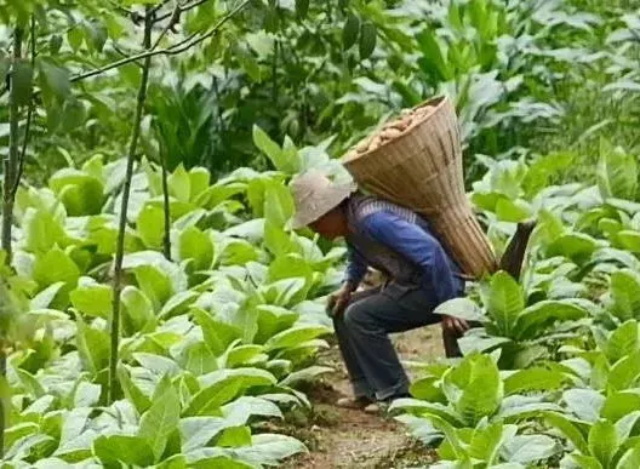 9b3f6dad-18a4-42eb-b457-43582a0450a3