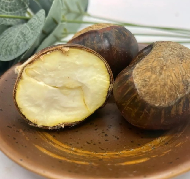 c5bd4bc6-ed2d-4fcb-8711-998d451e8ab0