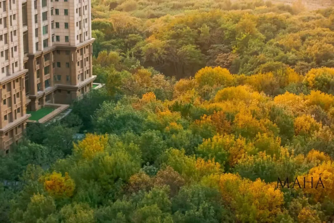 6377222573386445325411553