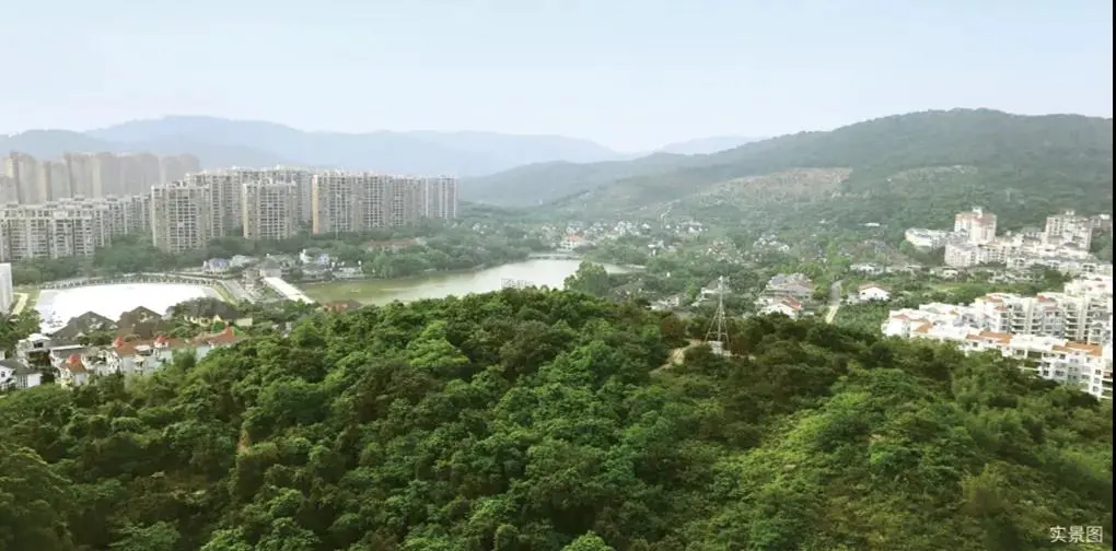 6377449482352086258032895