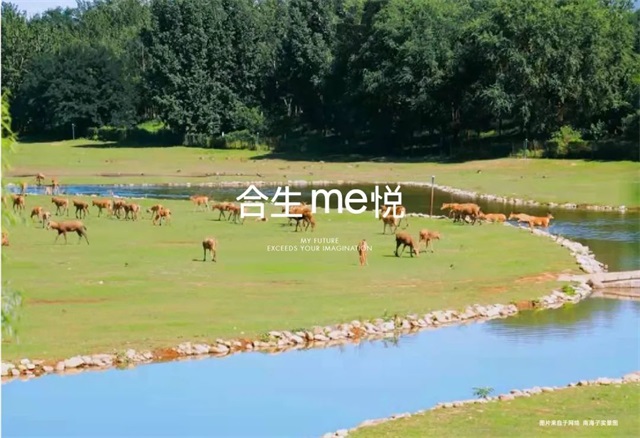 6378797041347512509576420