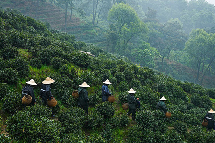 6378797239178788297691725