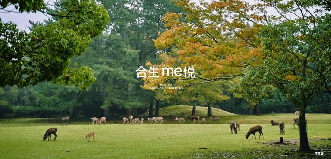 6379036615250782668828800