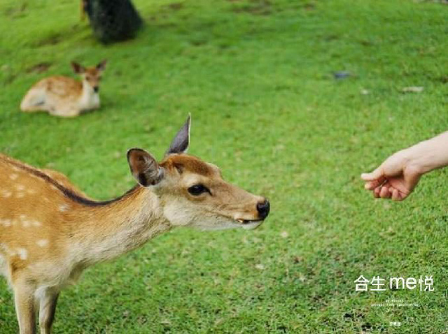 6379036985016265516478147